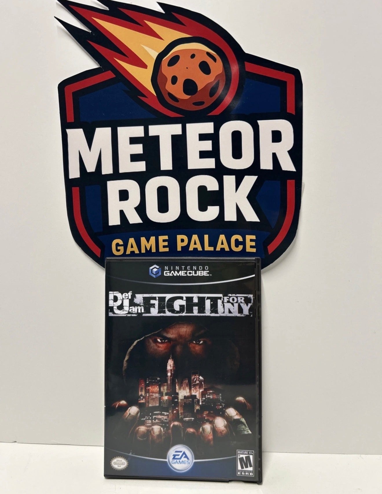 Def Jam Fight For NY GameCube case